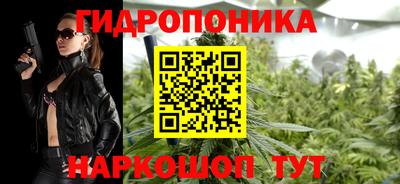 шишки Балашиха